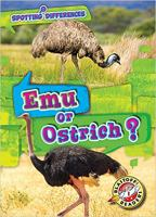 Emu_or_Ostrich_